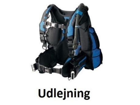 Udlejning